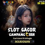 WhatsApp Image 2025-09-16 at 18.47.46 (1).jpeg