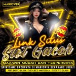 WhatsApp Image 2025-09-09 at 17.09.16.jpeg