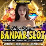 WhatsApp Image 2025-10-05 at 18.49.45 (1).jpeg