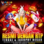 WhatsApp Image 2025-11-10 at 04.27.53 (2).jpeg