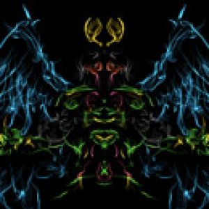 news - silkart