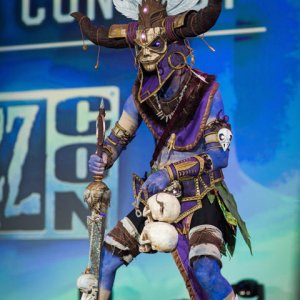 Blizzcon 2014