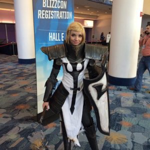Blizzcon 2014