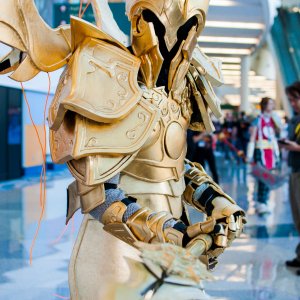 Blizzcon 2014
