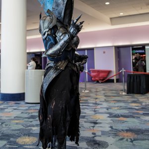 Blizzcon 2014