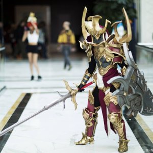 Crusader