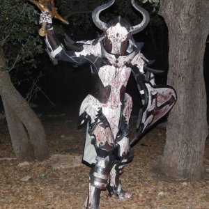 Crusader