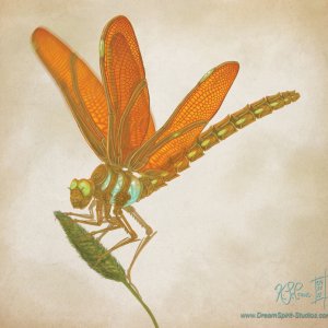 Clockwork Dragonfly