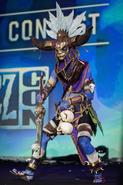 Blizzcon 2014