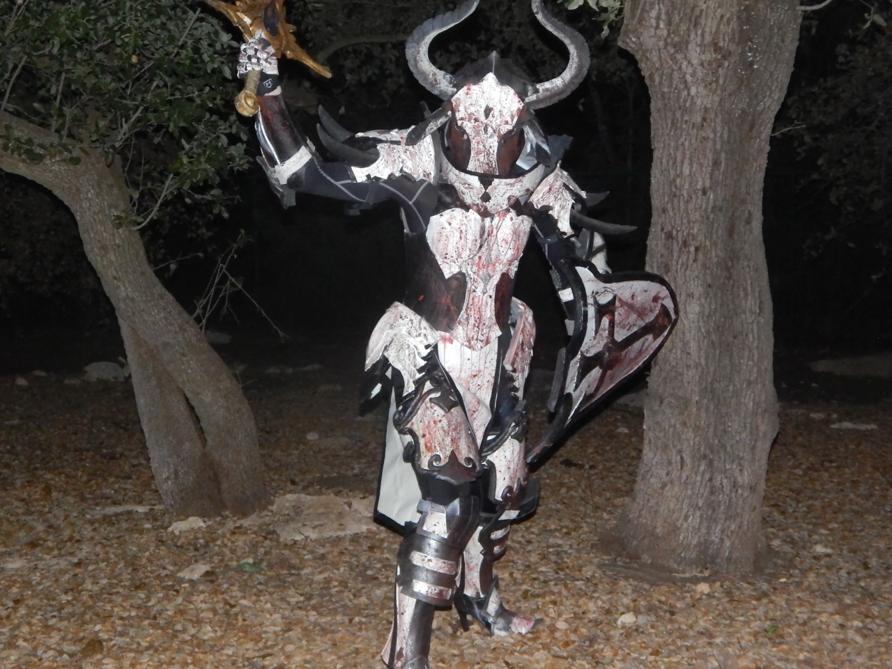 Crusader