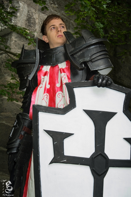 Crusader